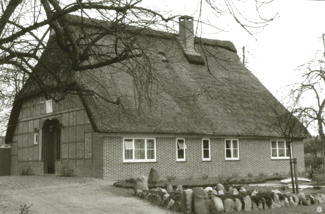 Ein Bild, das Gebäude, draußen, Hütte, Baum enthält.

Automatisch generierte Beschreibung