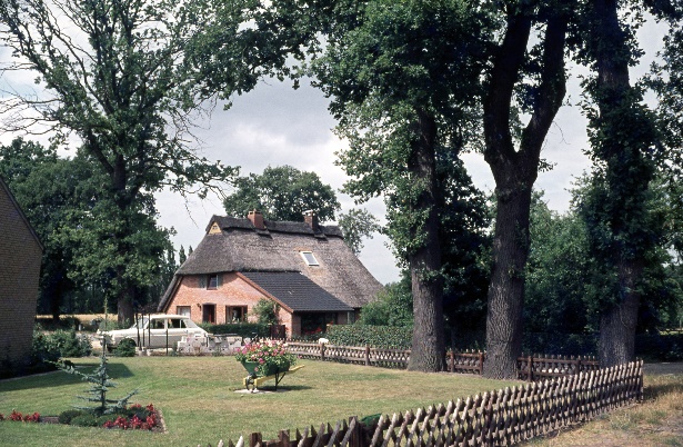 Ein Bild, das draußen, Gebäude, Baum, Gras enthält.

Automatisch generierte Beschreibung
