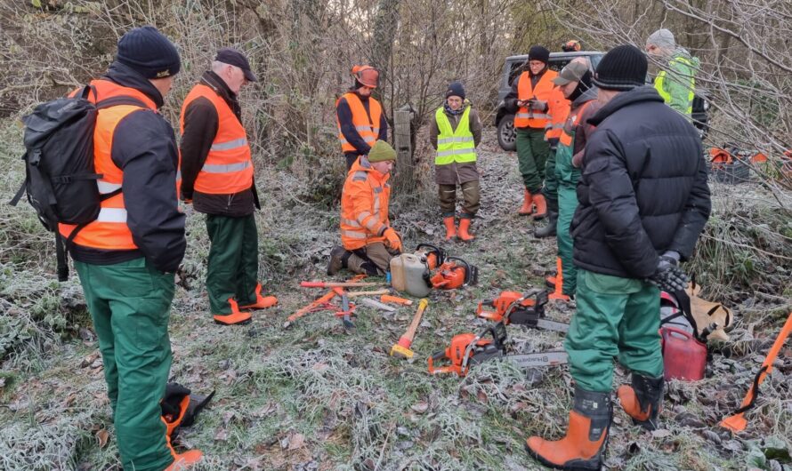 Kettensägenlehrgang am 27. und 28. Februar – Ausgebucht! Nächster Kurs im Herbst 2026