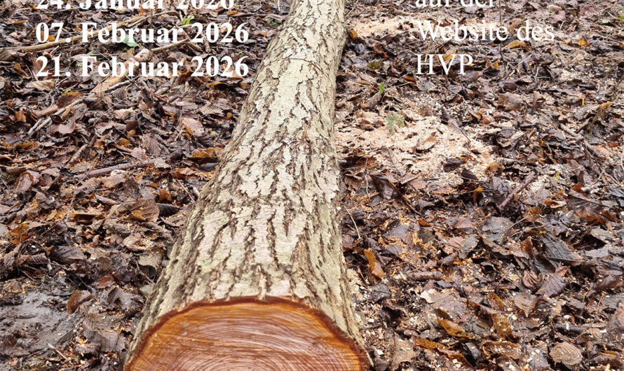 Platjenwerber Brennholztage