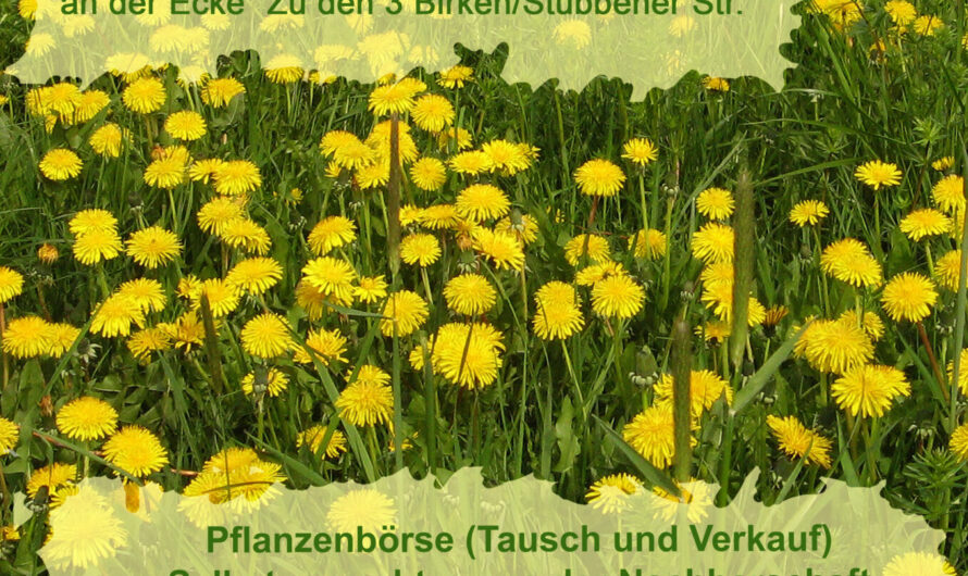 „Komm auf die Wiese!“ – Frühlingsfest mit Natur- und Umweltgruppe des Heimatvereins Platjenwerbe